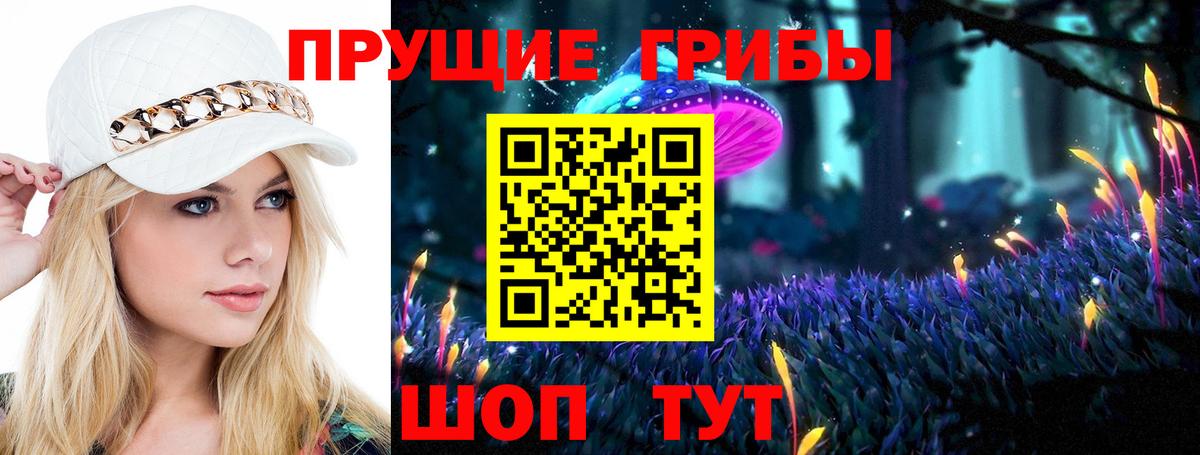 Галлюциногенные грибы Magic Shrooms  Вход с VPN  Галлюциногенные грибы MAGIC MUSHROOMS  купить наркотики сайты  Серов 